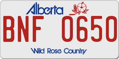 AB license plate BNF0650