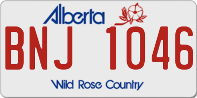 AB license plate BNJ1046
