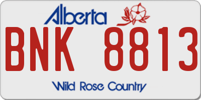 AB license plate BNK8813