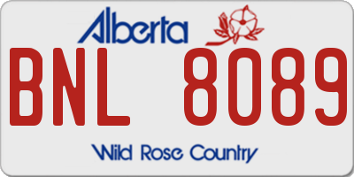 AB license plate BNL8089