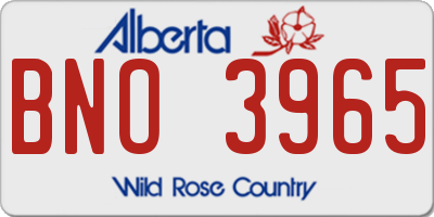 AB license plate BNO3965