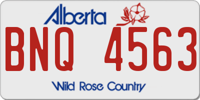 AB license plate BNQ4563