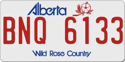 AB license plate BNQ6133