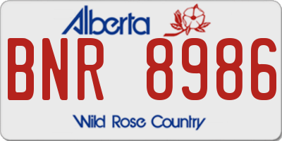 AB license plate BNR8986