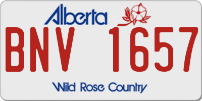 AB license plate BNV1657