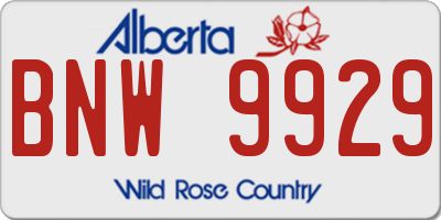 AB license plate BNW9929