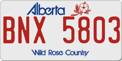 AB license plate BNX5803