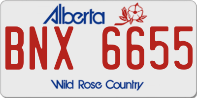 AB license plate BNX6655