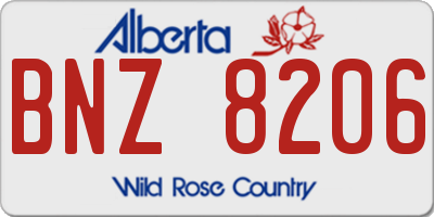 AB license plate BNZ8206