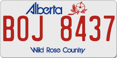 AB license plate BOJ8437