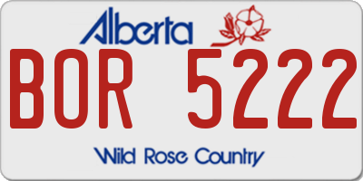 AB license plate BOR5222