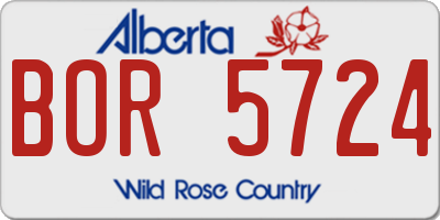 AB license plate BOR5724