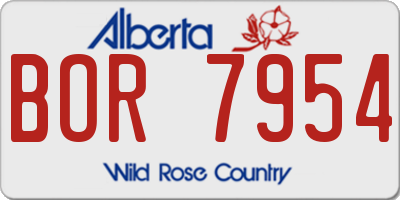 AB license plate BOR7954