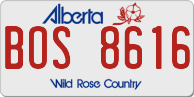 AB license plate BOS8616