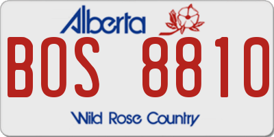 AB license plate BOS8810