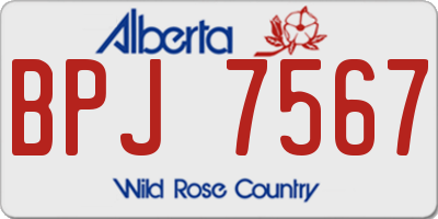 AB license plate BPJ7567