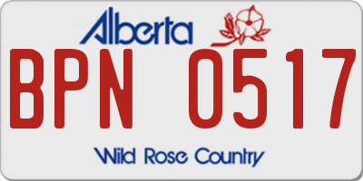 AB license plate BPN0517