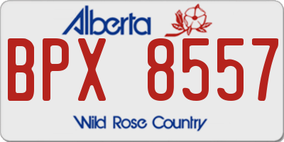 AB license plate BPX8557