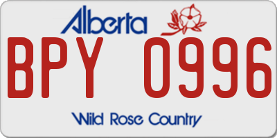AB license plate BPY0996