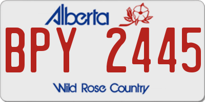 AB license plate BPY2445