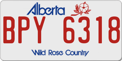 AB license plate BPY6318
