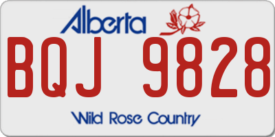 AB license plate BQJ9828