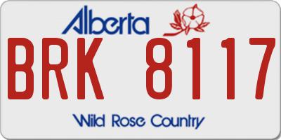 AB license plate BRK8117