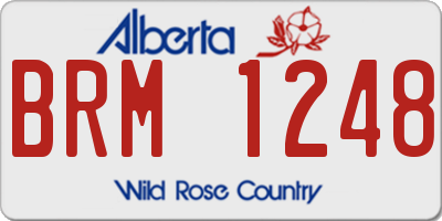 AB license plate BRM1248