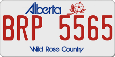 AB license plate BRP5565