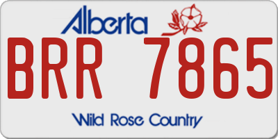 AB license plate BRR7865