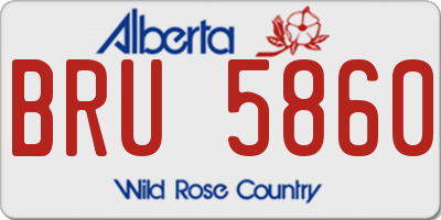 AB license plate BRU5860