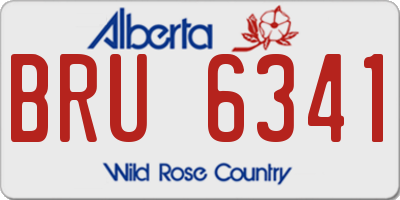 AB license plate BRU6341