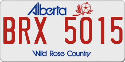 AB license plate BRX5015