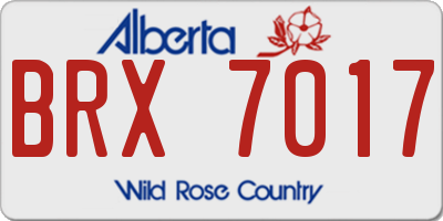 AB license plate BRX7017