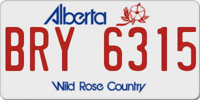 AB license plate BRY6315