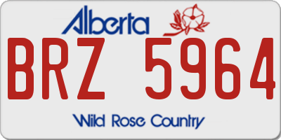 AB license plate BRZ5964