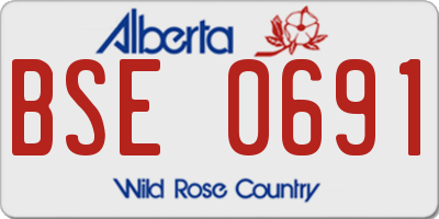 AB license plate BSE0691