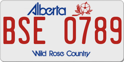 AB license plate BSE0789