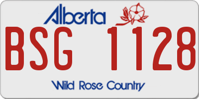 AB license plate BSG1128