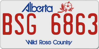 AB license plate BSG6863