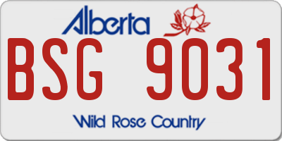 AB license plate BSG9031