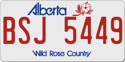 AB license plate BSJ5449
