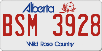 AB license plate BSM3928