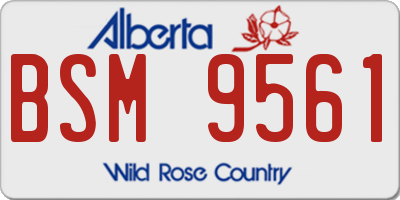 AB license plate BSM9561