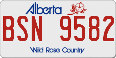 AB license plate BSN9582