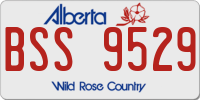 AB license plate BSS9529