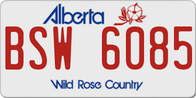 AB license plate BSW6085