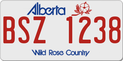 AB license plate BSZ1238
