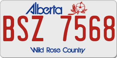 AB license plate BSZ7568
