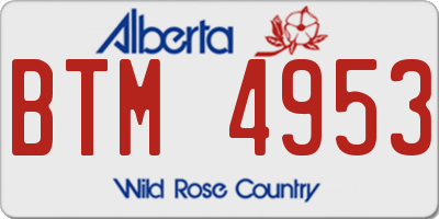 AB license plate BTM4953